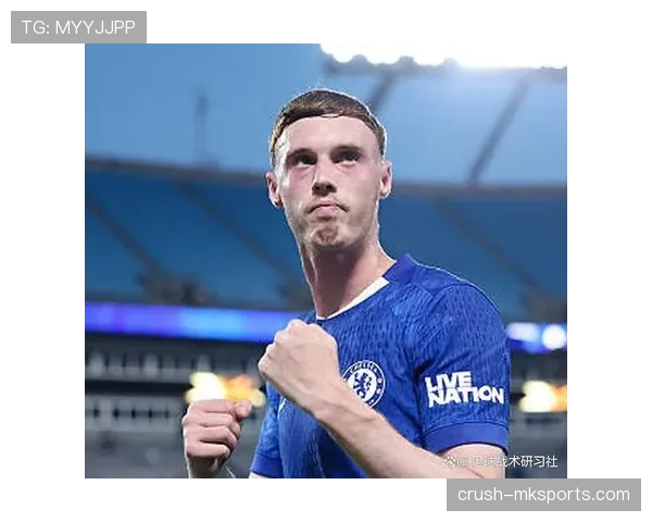 帕尔默效率与战术角色匹配度分析