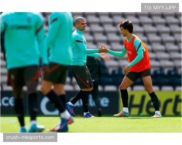 挑衅行为判罚到底有哪些细节容易被忽视？