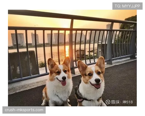 拉皮诺家的狗吃的比我家孩子还讲究